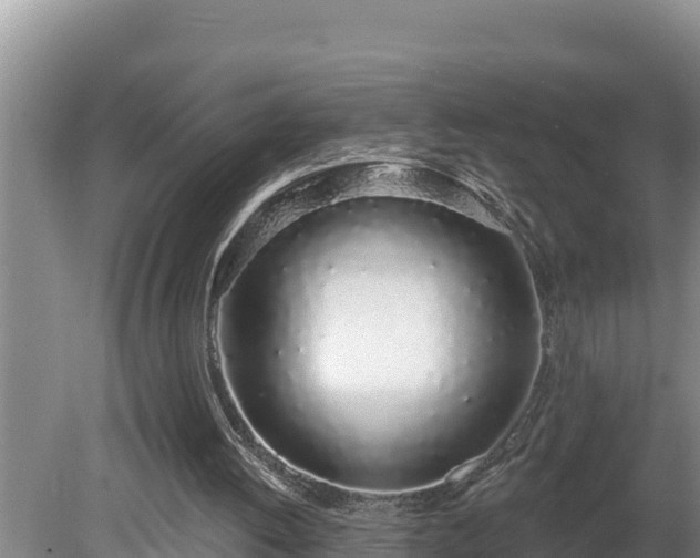 X0000080130052200612151749