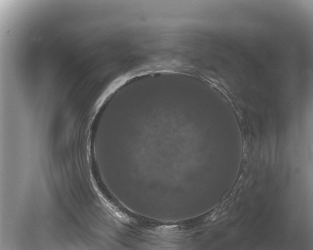 X0000080130054200612151749