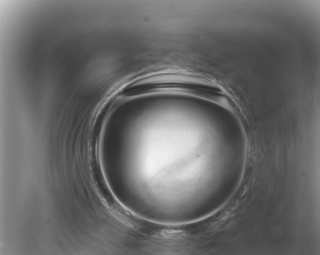 X0000080130055200612151749