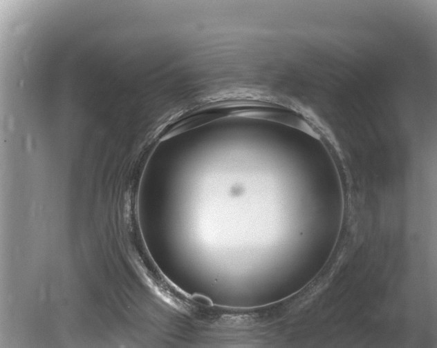 X0000080130057200612151749