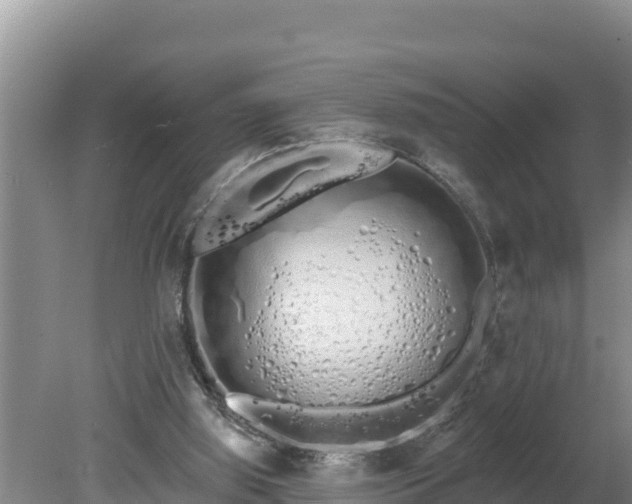 X0000080130060200612151749