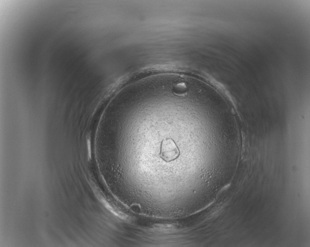 X0000080130061200612151749