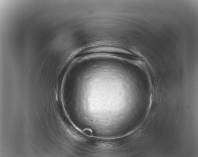 X0000080130062200612151749