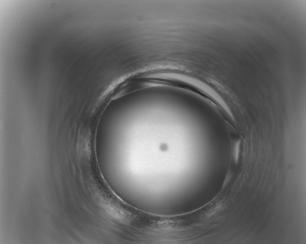 X0000080130064200612151749