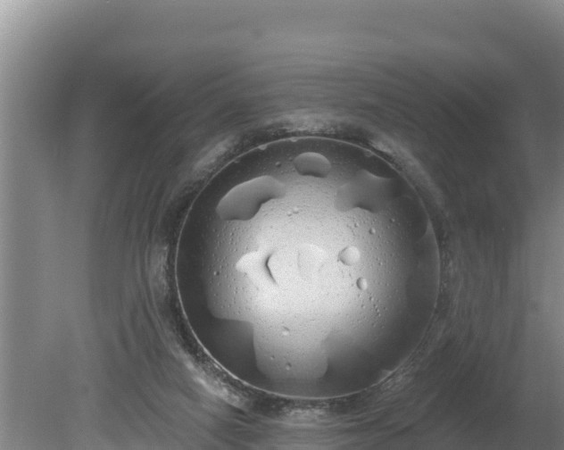 X0000080130066200612151749