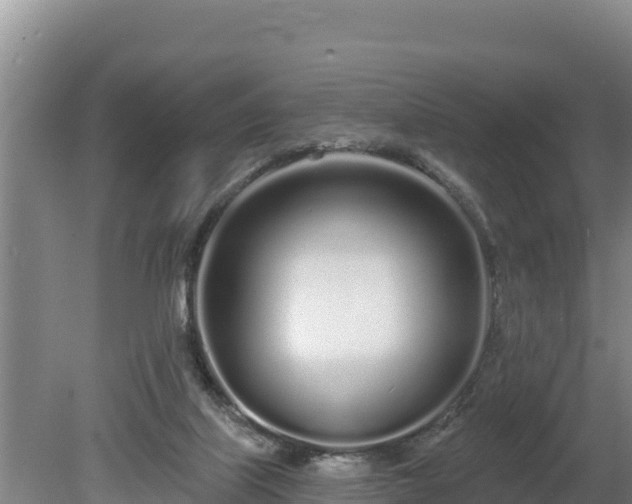 X0000080130067200612151749