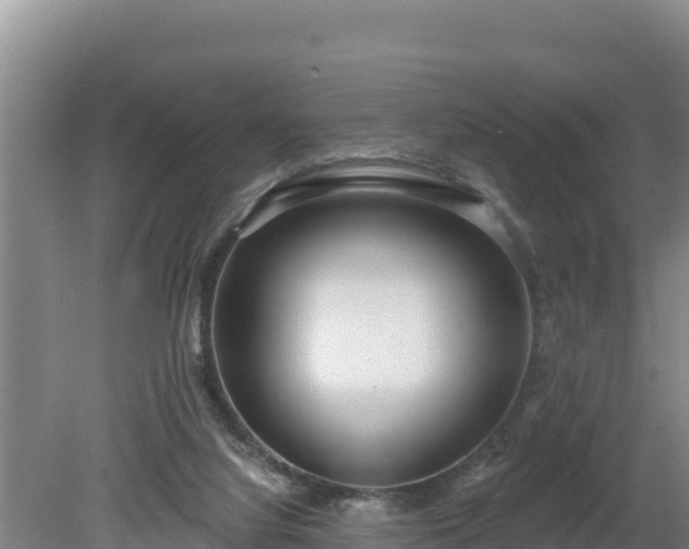 X0000080130068200612151749