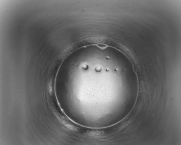 X0000080130069200612151749