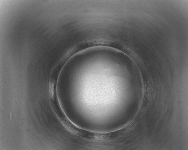 X0000080130070200612151749