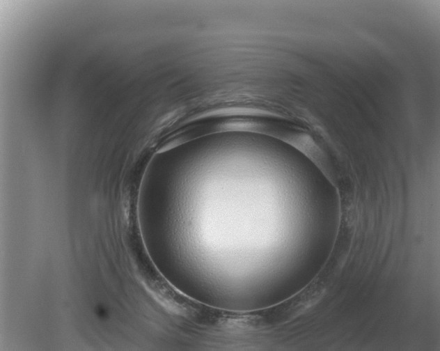 X0000080130072200612151749