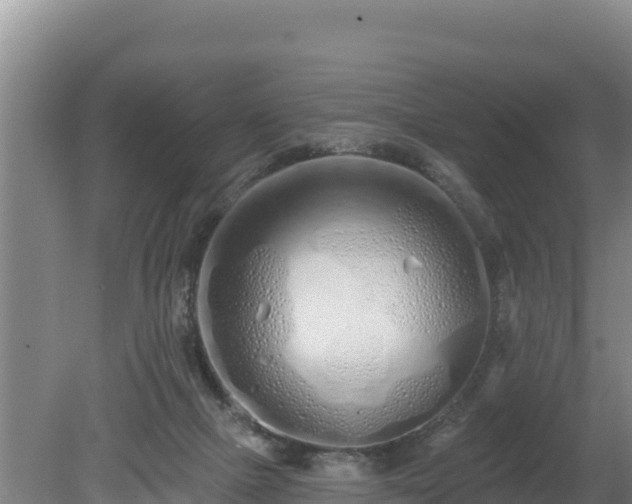 X0000080130073200612151749