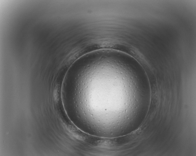 X0000080130074200612151749