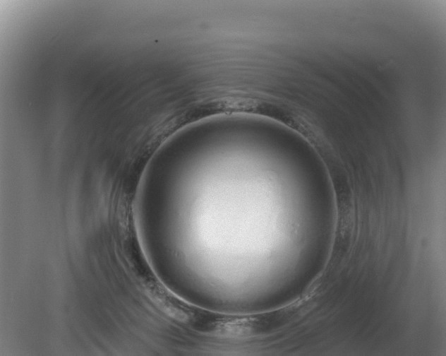 X0000080130078200612151749