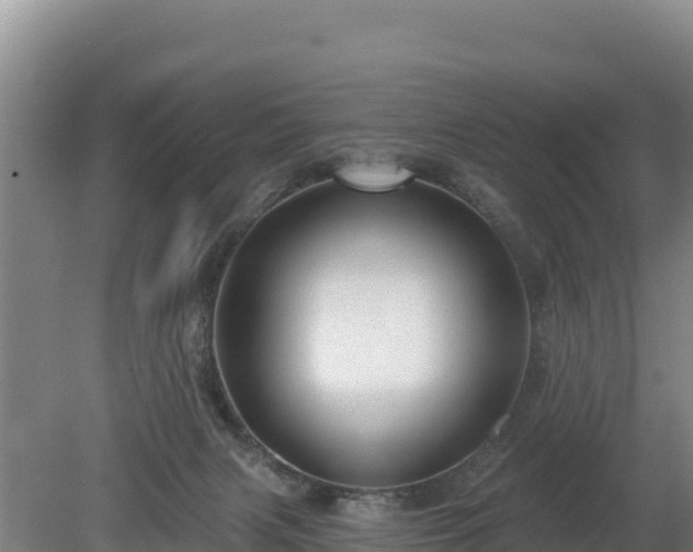 X0000080130079200612151749