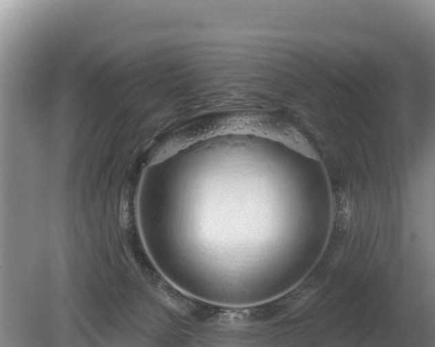 X0000080130080200612151749