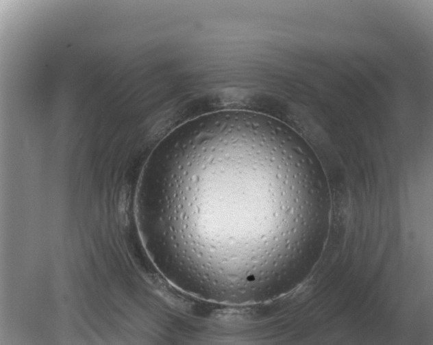 X0000080130082200612151749