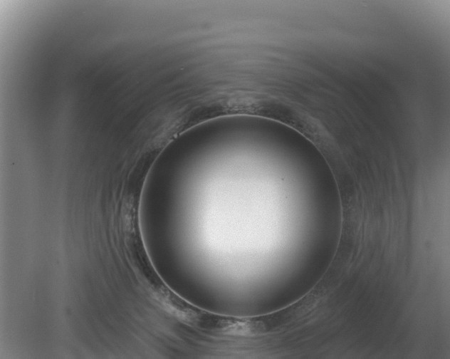 X0000080130083200612151749