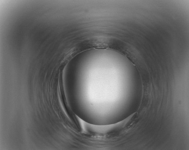 X0000080130084200612151749