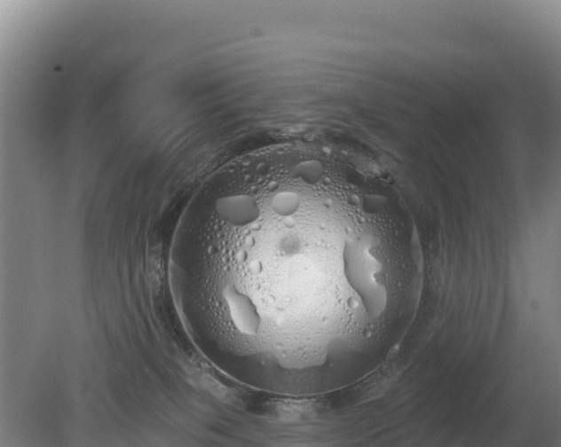 X0000080130085200612151749