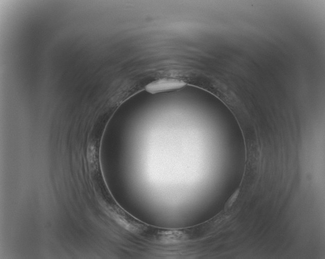 X0000080130087200612151749