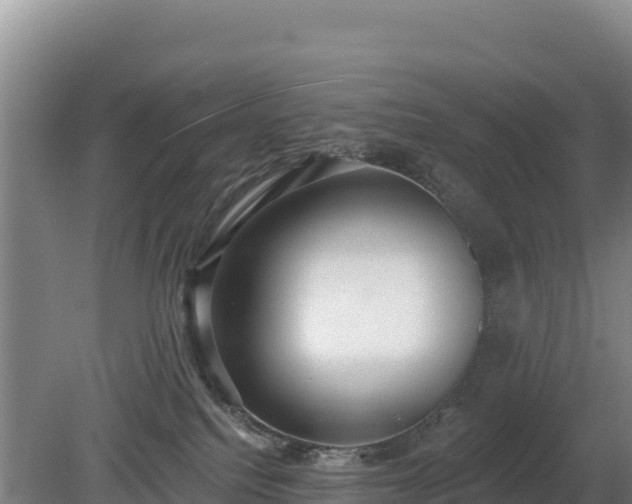 X0000080130088200612151749