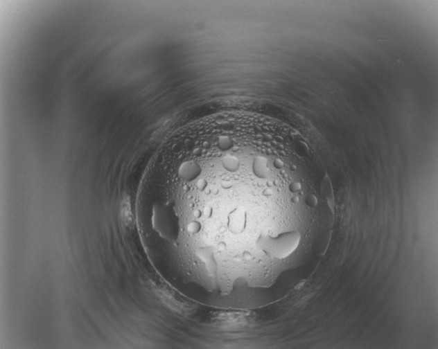 X0000080130089200612151749