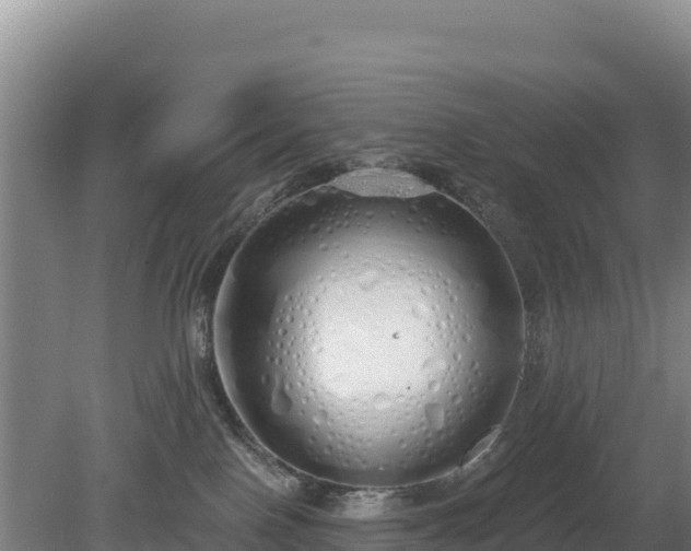 X0000080130090200612151749