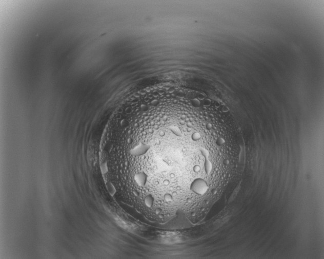 X0000080130091200612151749