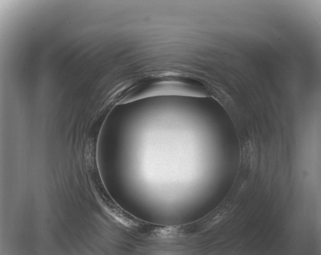 X0000080130092200612151749