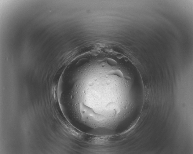 X0000080130094200612151749