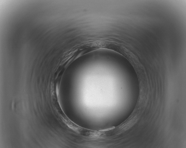 X0000080130096200612151750