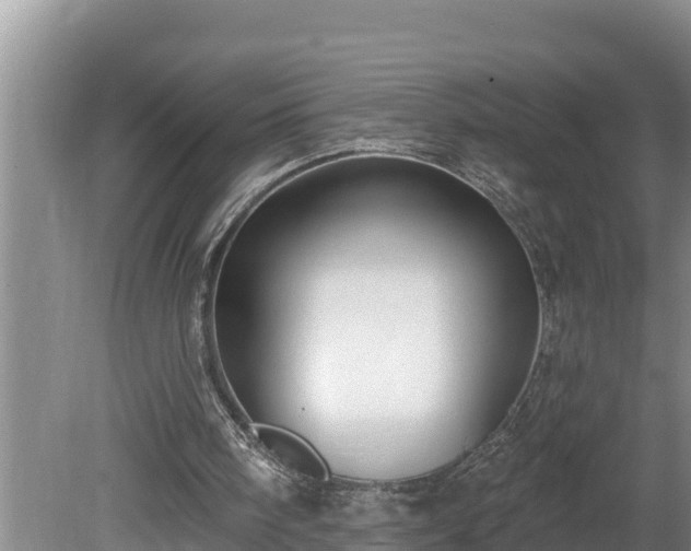 X0000080130098200612151749