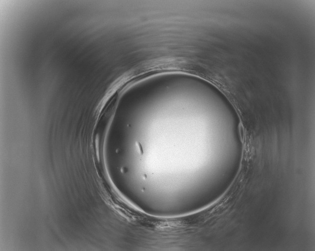 X0000080130099200612151749