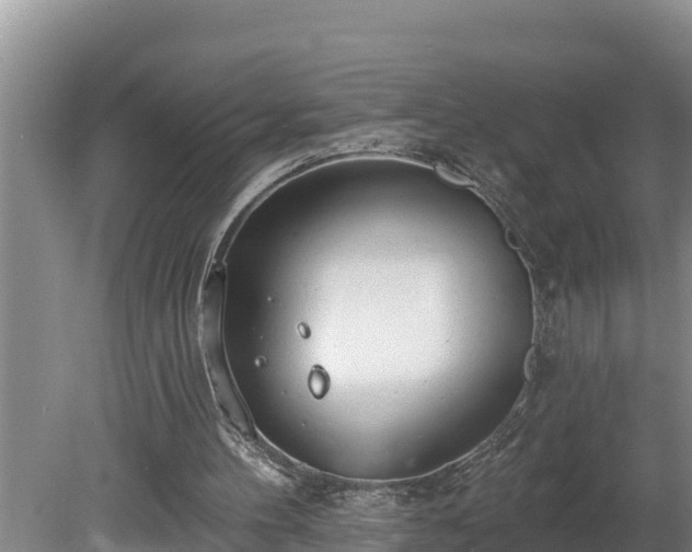 X0000080130100200612151749