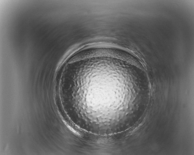 X0000080130101200612151749