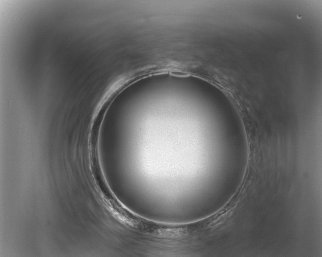 X0000080130102200612151749