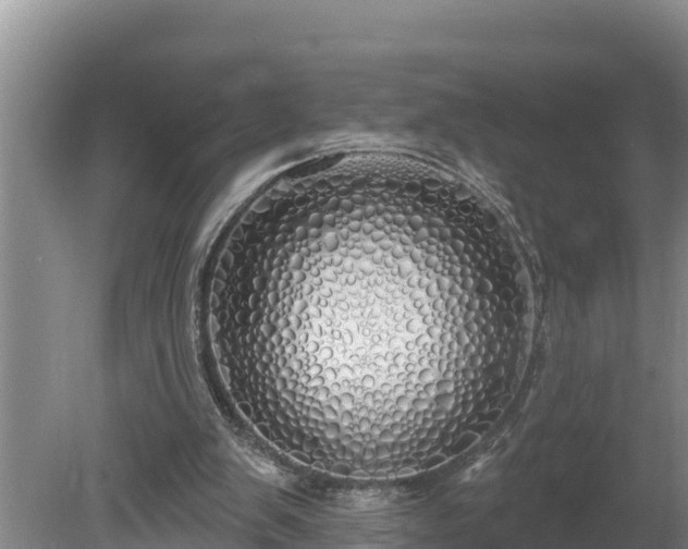 X0000080130103200612151749