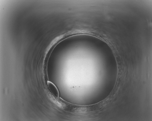 X0000080130104200612151749