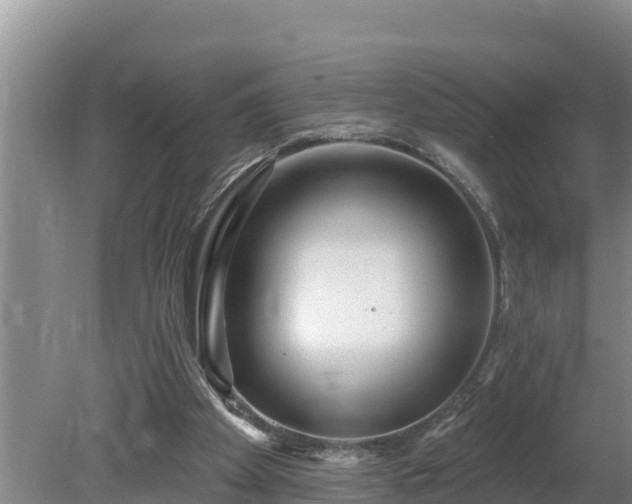 X0000080130105200612151749