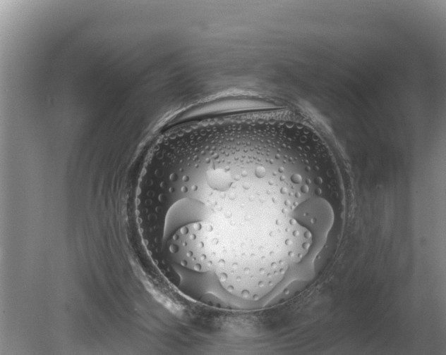 X0000080130106200612151749