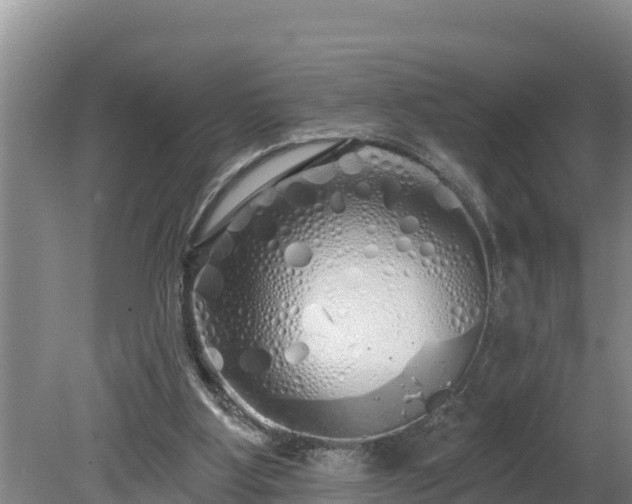 X0000080130107200612151749