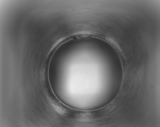 X0000080130108200612151749