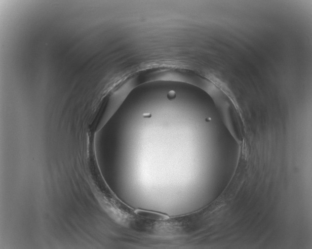 X0000080130109200612151749