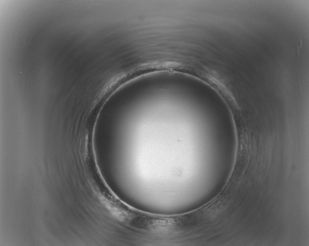 X0000080130110200612151748