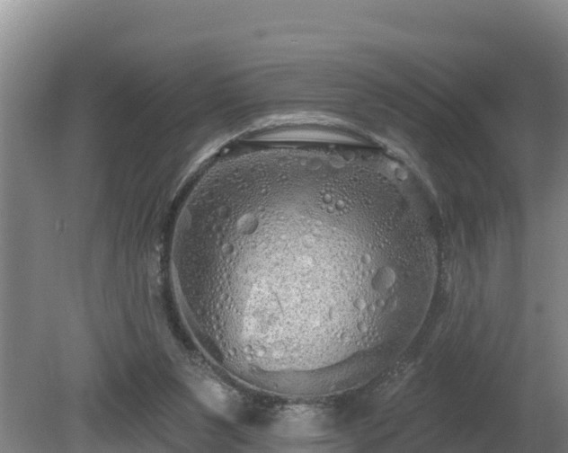 X0000080130111200612151748