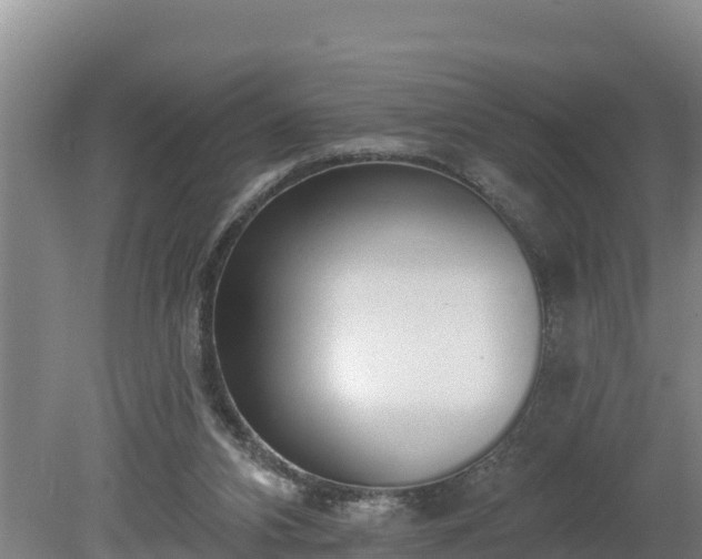 X0000080130112200612151748