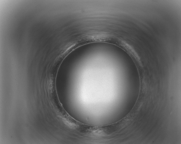 X0000080130113200612151748