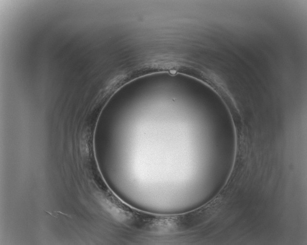 X0000080130114200612151748