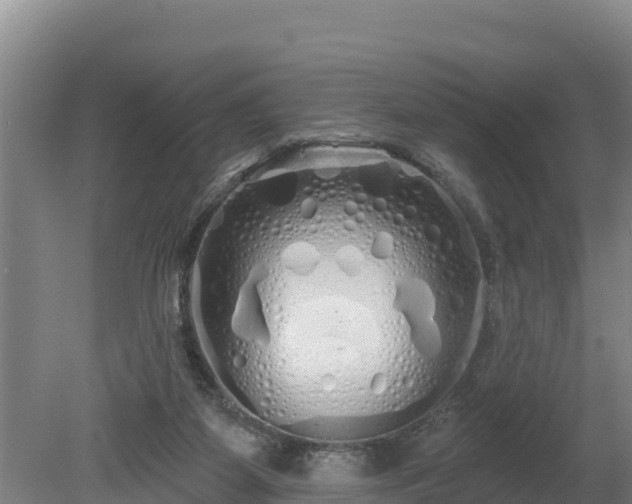 X0000080130115200612151748