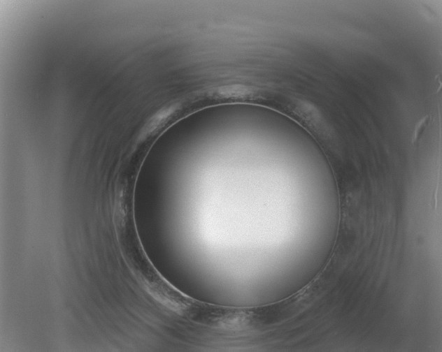 X0000080130116200612151748